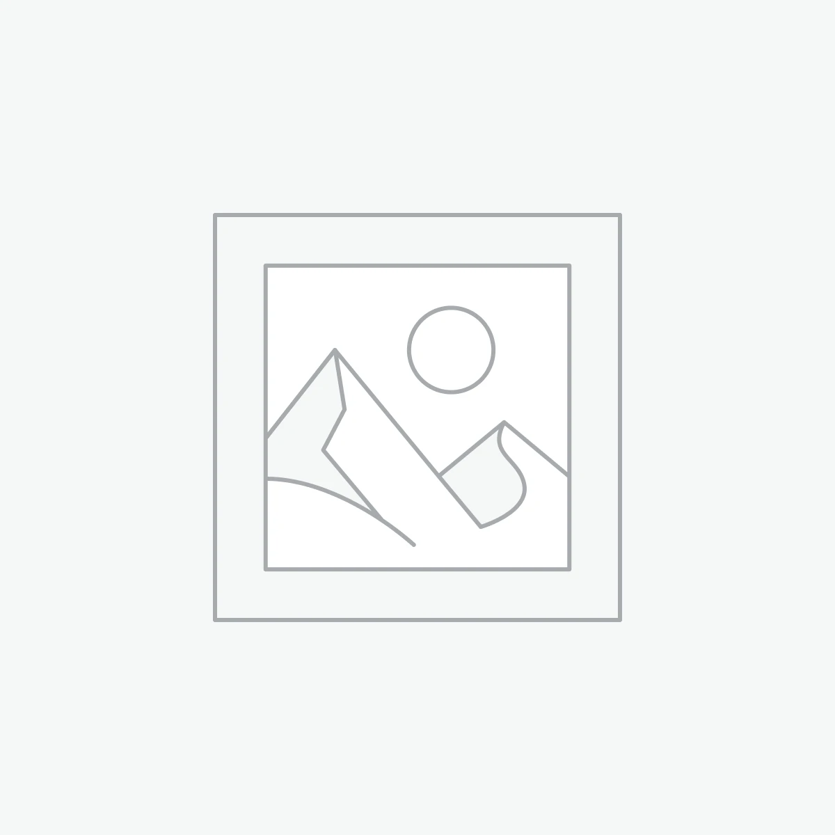 Vehicle report DE